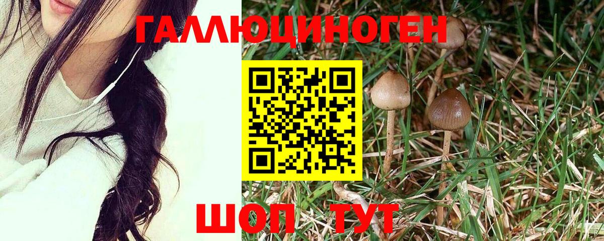 Псилоцибиновые грибы ЛСД Краснодар