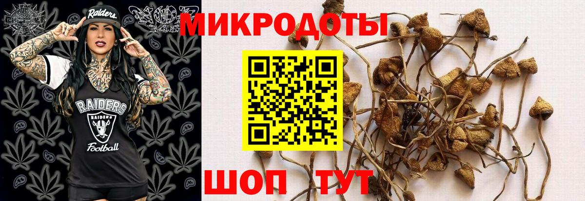 купить  сайты  Вход с VPN  Псилоцибиновые грибы мицелий  Краснодар  Галлюциногенные грибы Psilocybine cubensis 